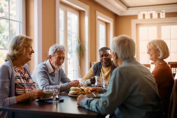 Professional Senior Home Renovation