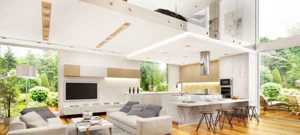 Professional Residential Renovation