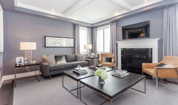 Professional Family Room Renovation
